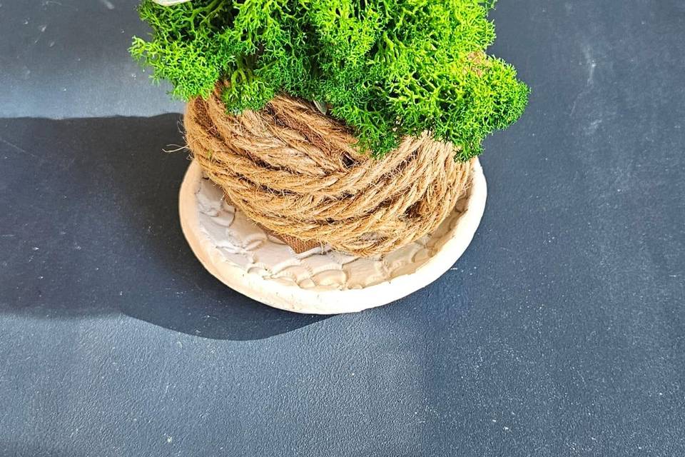 Kokedama