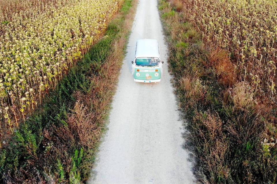 Noleggio Volkswagen T2 pulmino