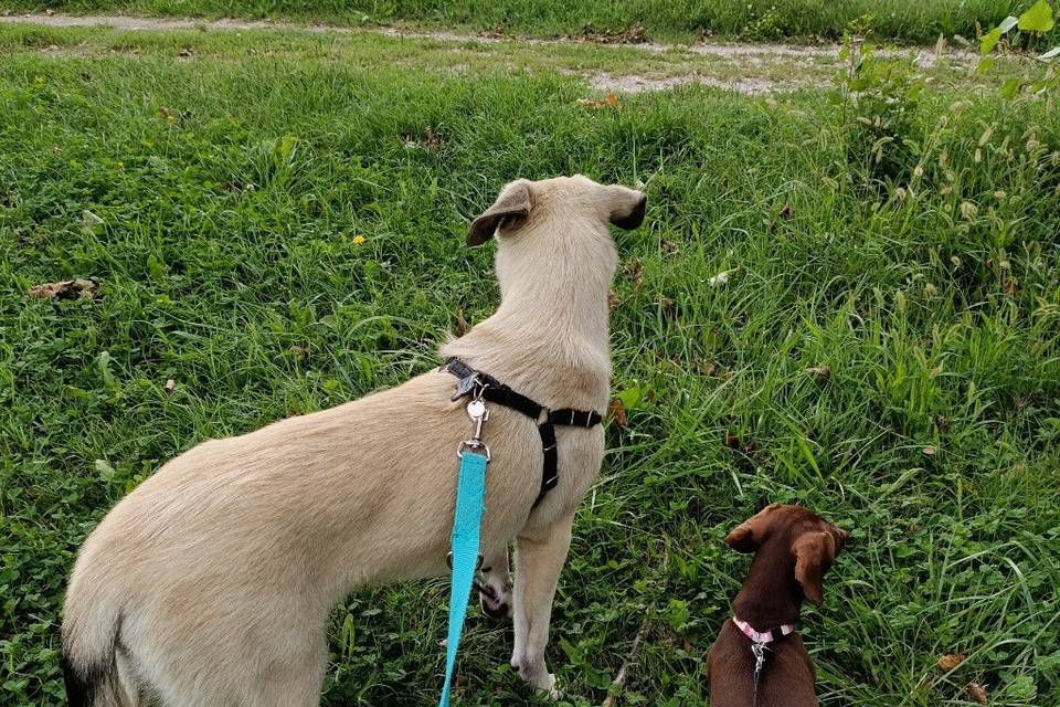 Passeggiata