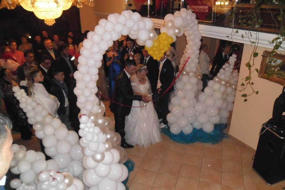 Cigni sposi