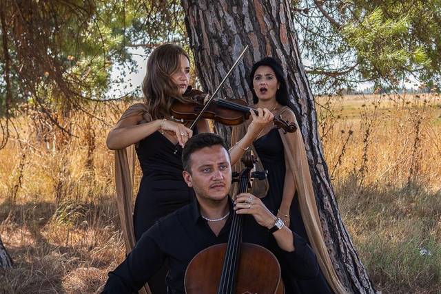 Sestito Symphony