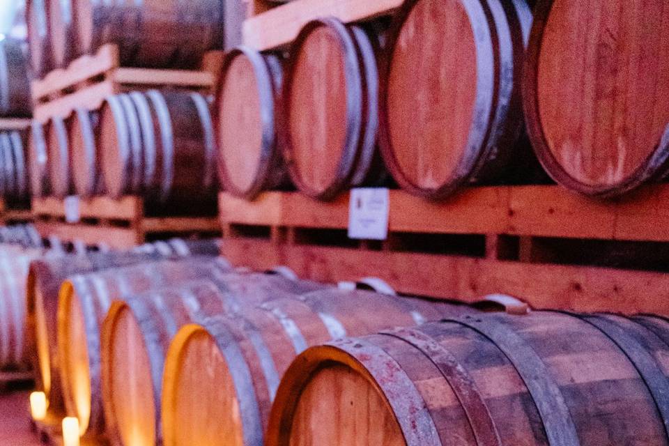 Distillerie Berta
