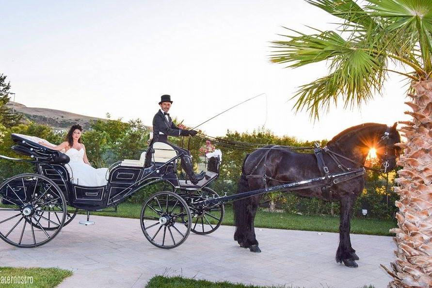 Sposa in carrozza