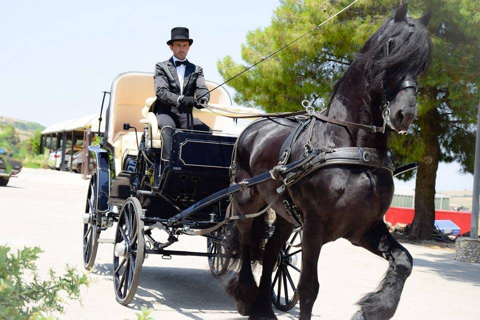 Giuseppe Briganti & Antonella Anello