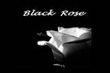 black rose