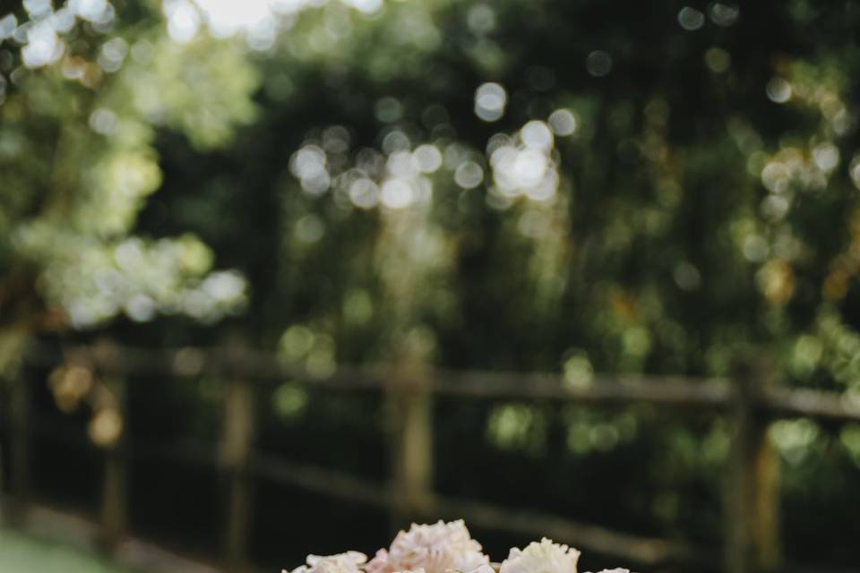 Petali