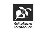 GattoRosso FotoGrafica