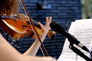 Susanna & Roberto, Violinista e Pianista