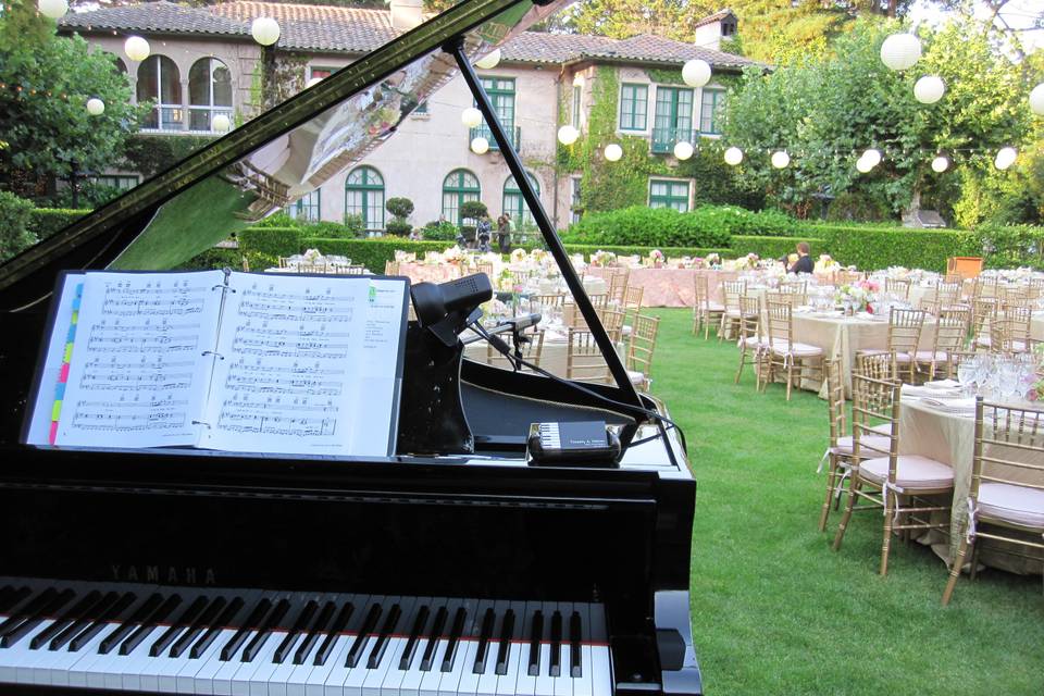 Susanna & Roberto, Violinista e Pianista