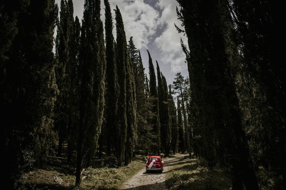Toscana-cinquecento-cipressi