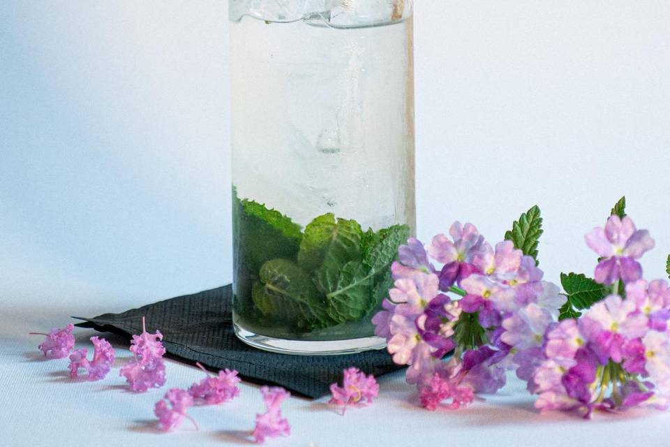 Mojito
