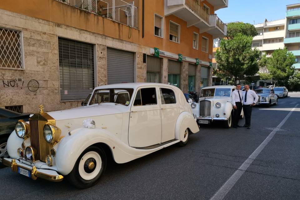 Italian limo logo