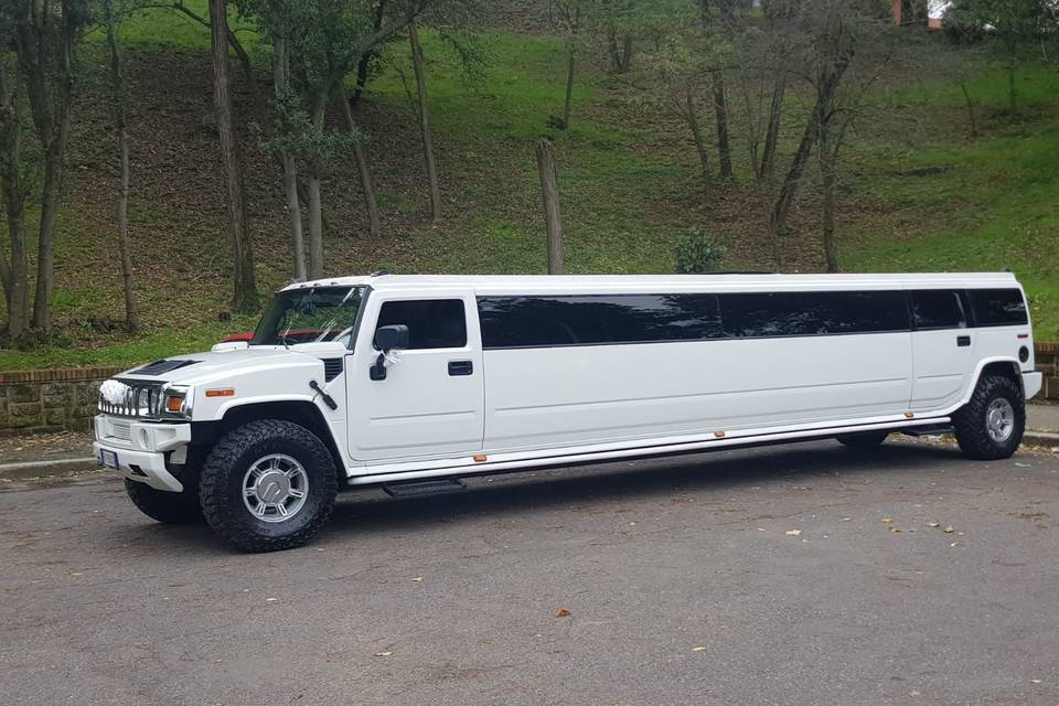 Italian Limo