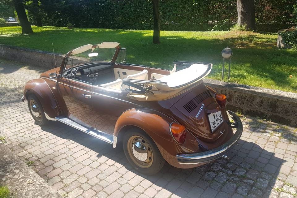 Maggiolino marrone cabrio