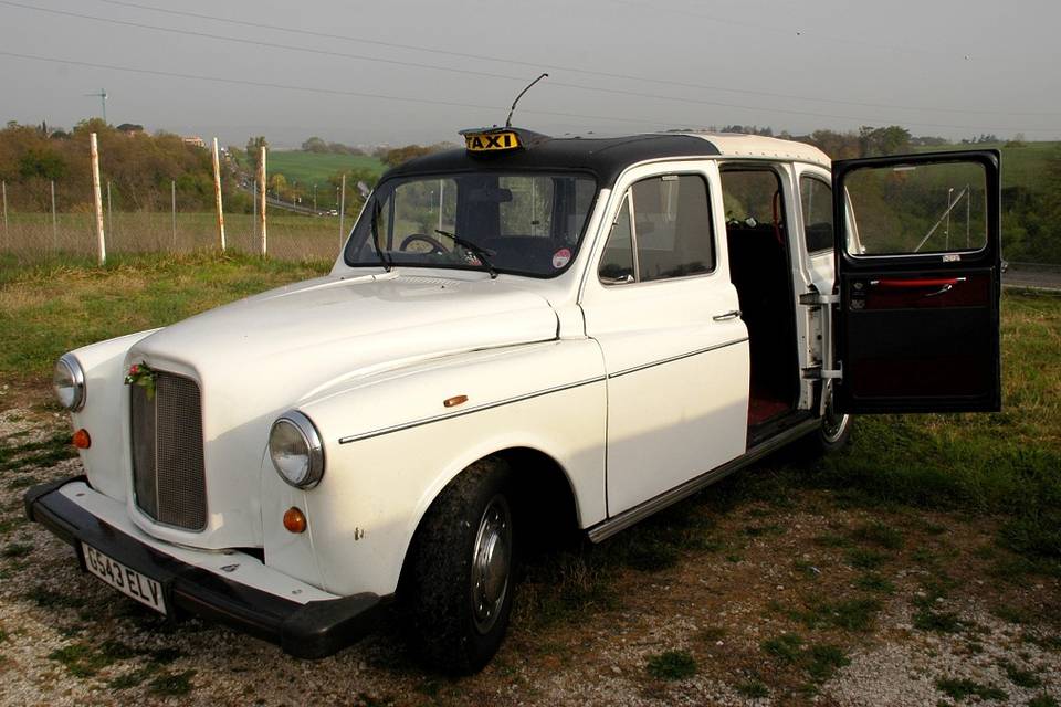 Italian Limo