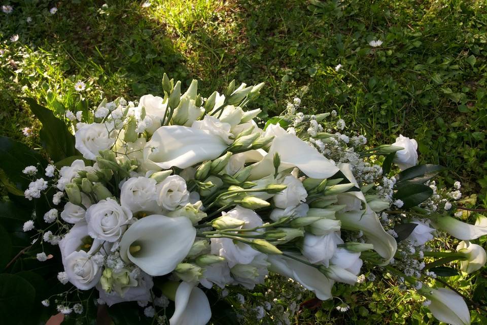 I Fiori di Zoe Weddings