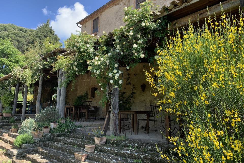 Matrimonio in campagna lazio g