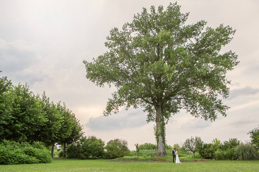 Fotografo matrimonio milano