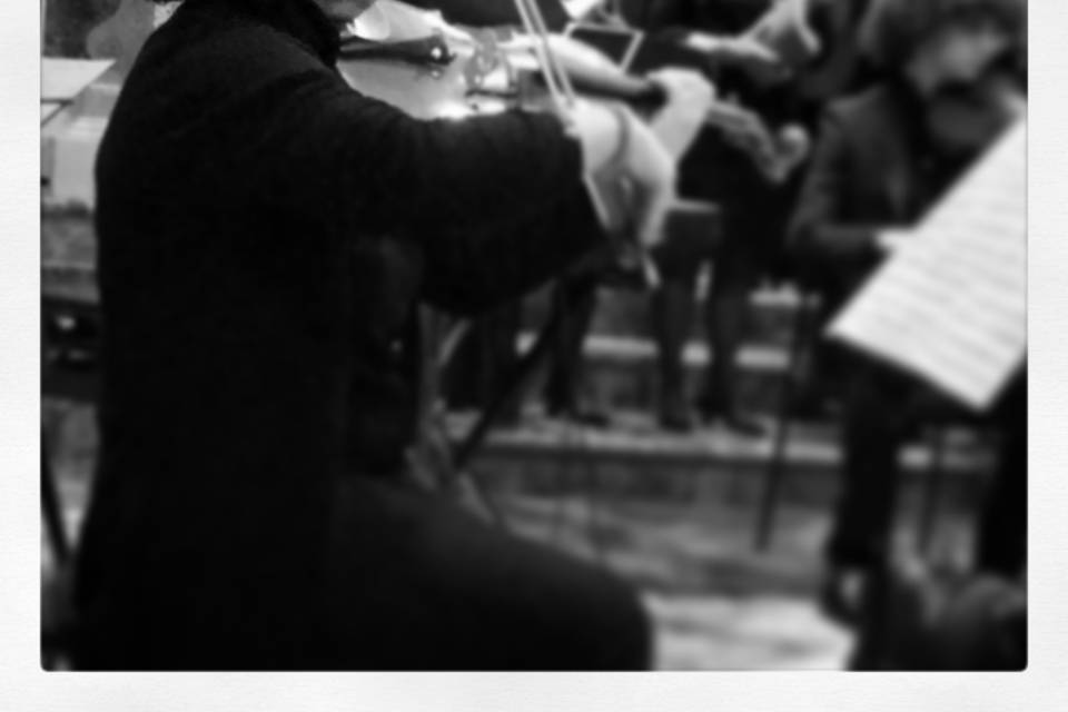 In orchestra concerto