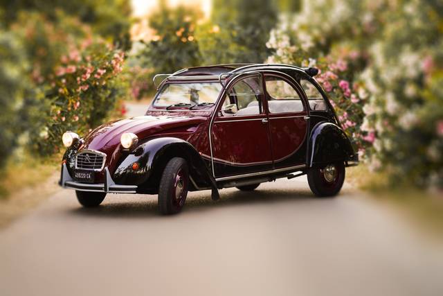 Roberto - 2CV Charleston