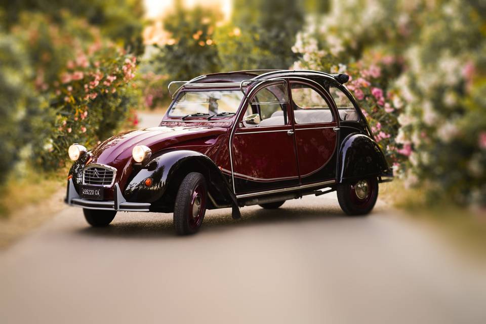 Roberto - 2CV Charleston