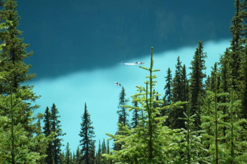 Peyto lake