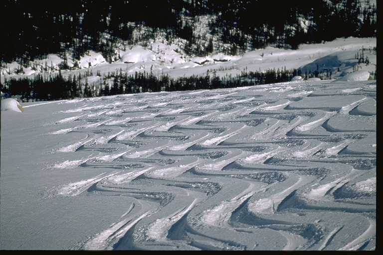 Sci British Columbia