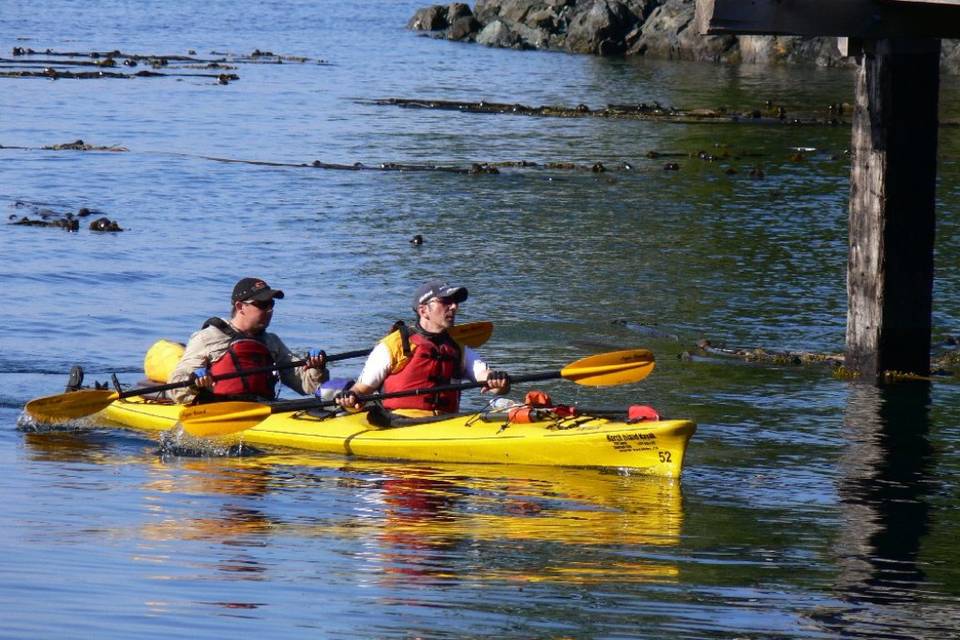 Kayaking Orcas