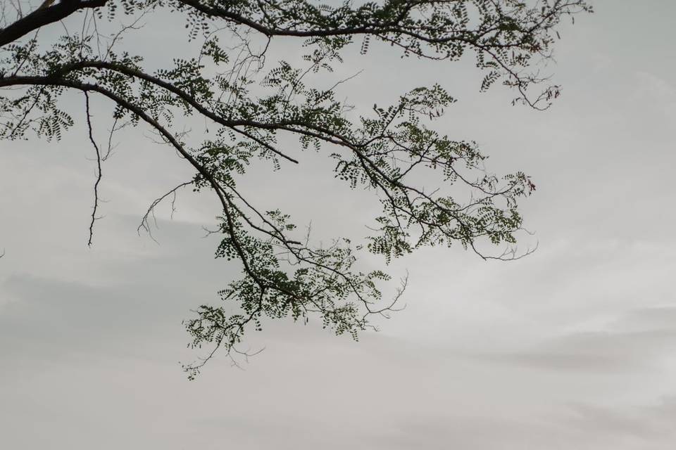 In Bianco e Nero Fotografia