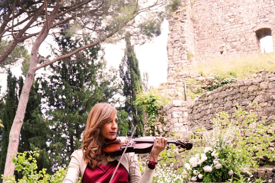 Violinista