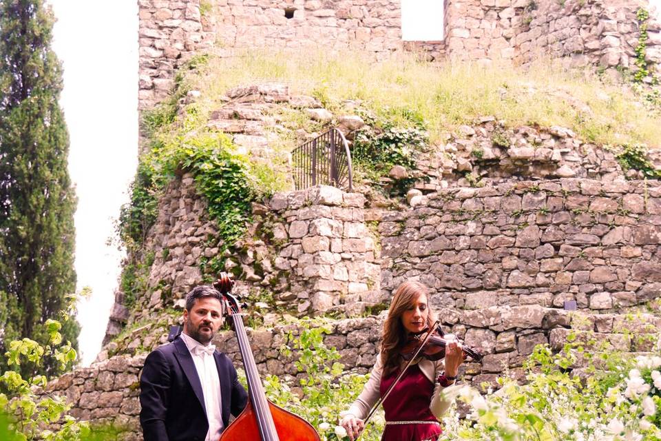 Duo d'Archi