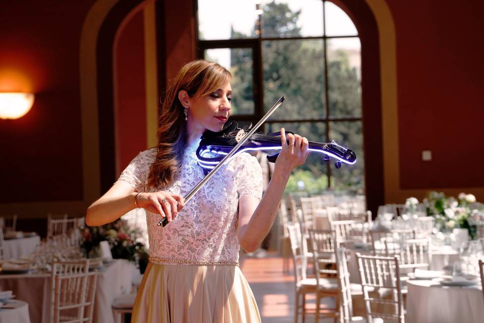 Museo Stibbert Violinista