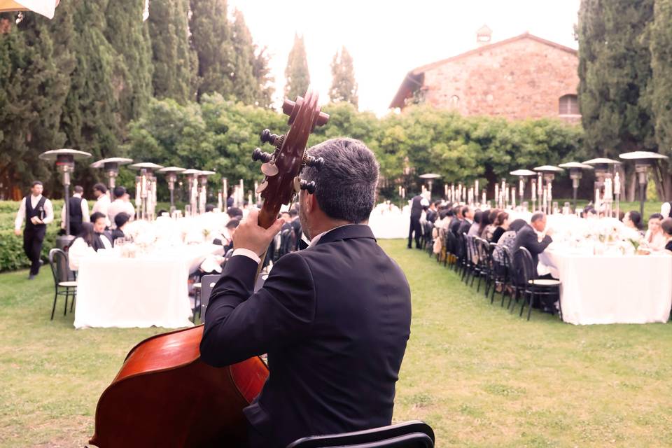 Jazz
