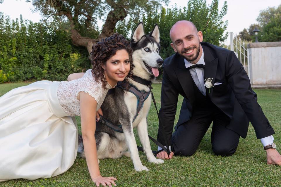 Matrimonio-Amo il mio cane