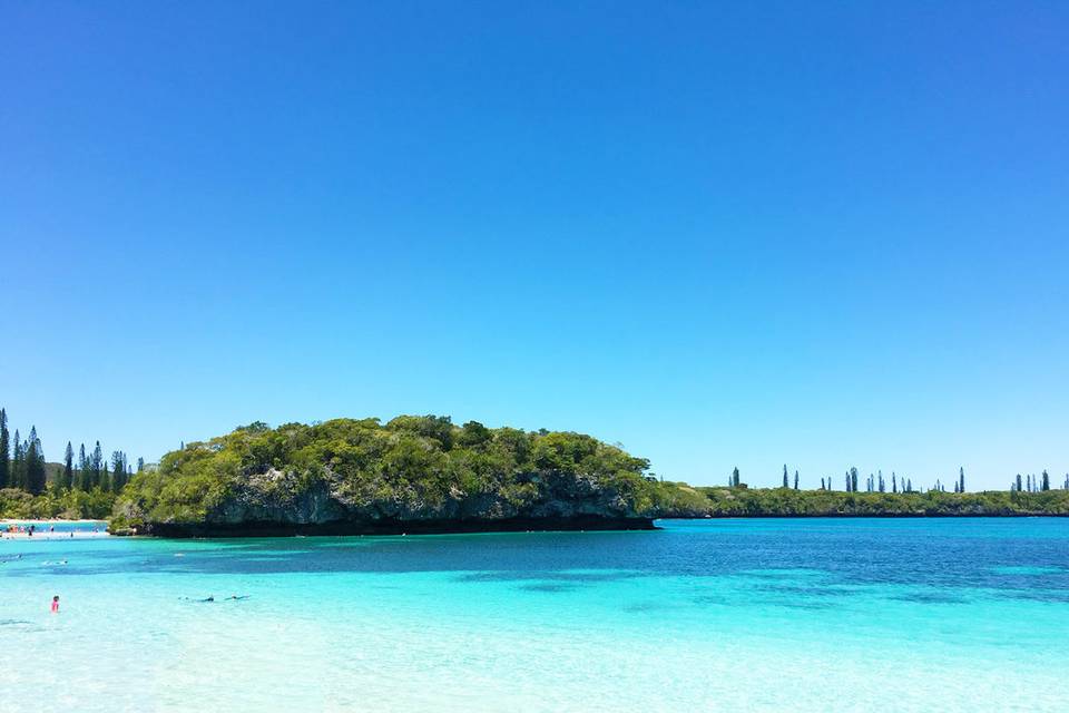 Nuova Caledonia - Isola dei Pi