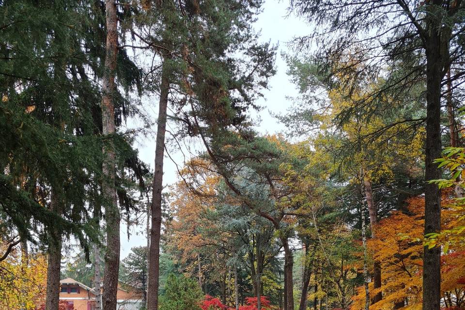 Il parco in autunno