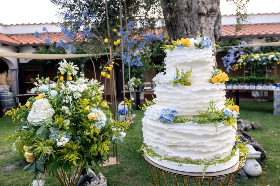 Torta in Chiostro dell'Ulivo