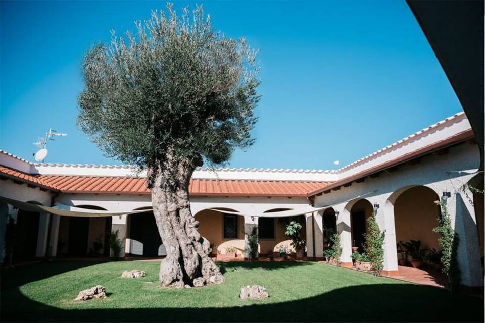 Tenuta Amalthea