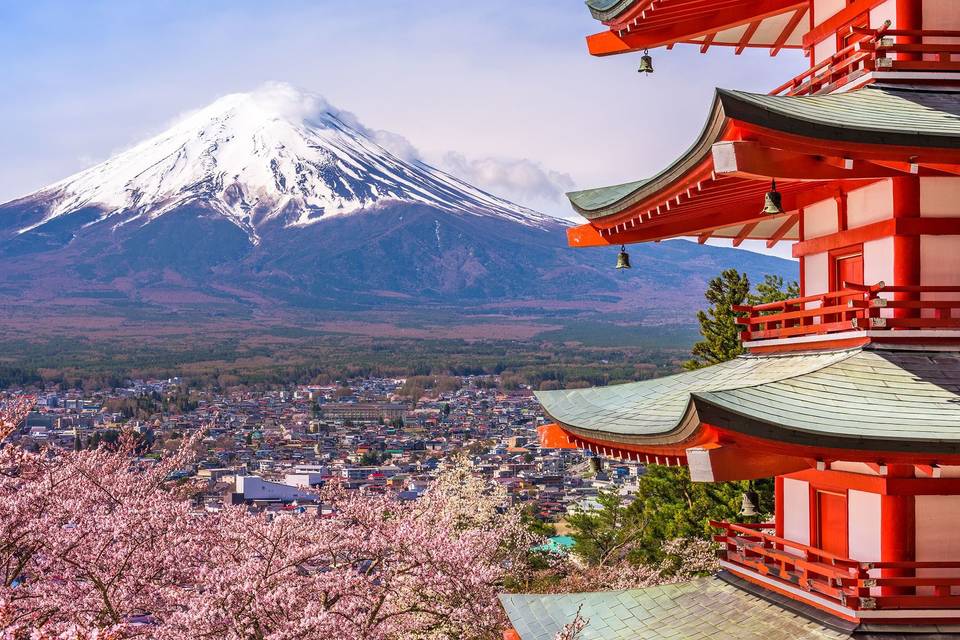 Il Mondo Capovolto Viaggi