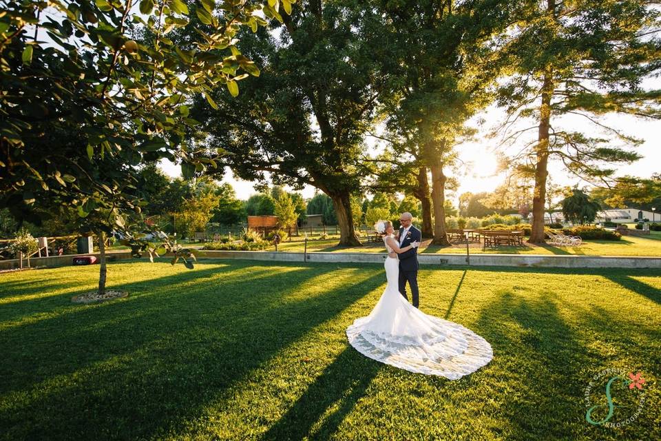 Romantici pomeriggi d'estate