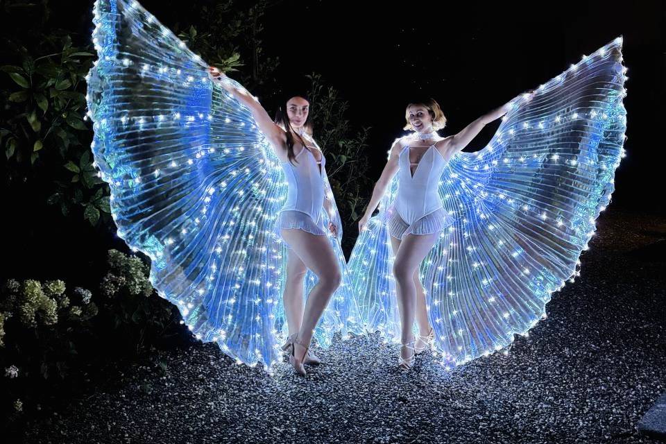 Farfalle luminose