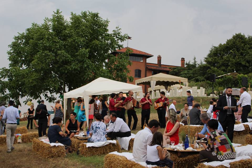 Matrimonio Pizzicato