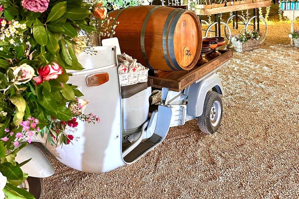 “aperto” 1959 wine tasting