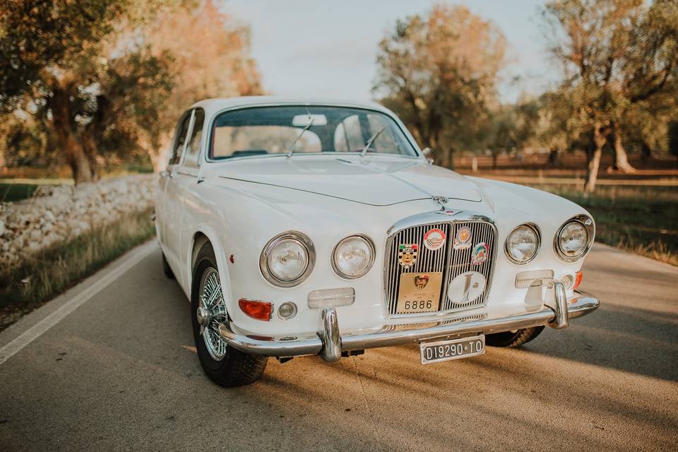 Jaguar 420