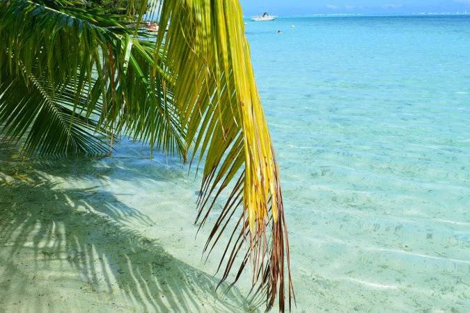 Spiaggia Los Ageles