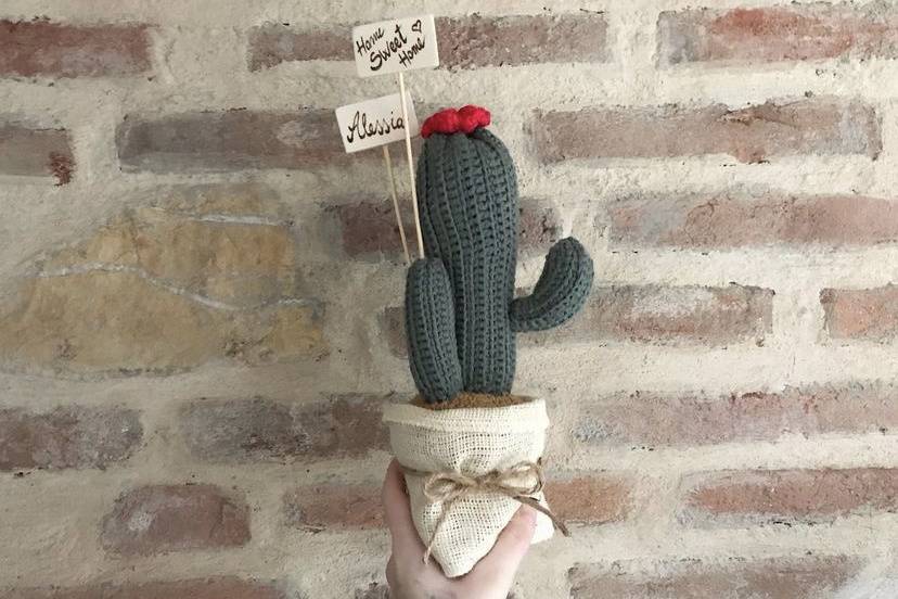 Cactus speciali