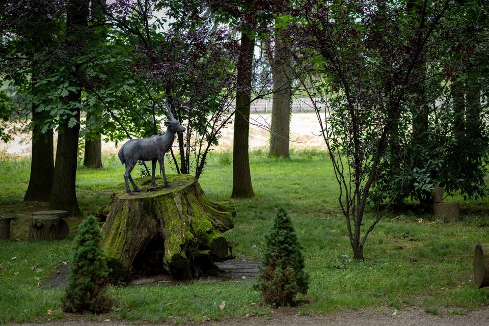 Un angolo del parco
