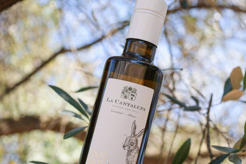 Il nostro olio