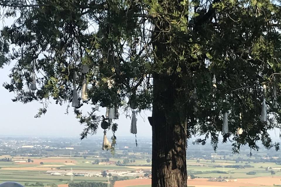 Evento e Arredo Olfattivo - Profuma la tua cerimonia