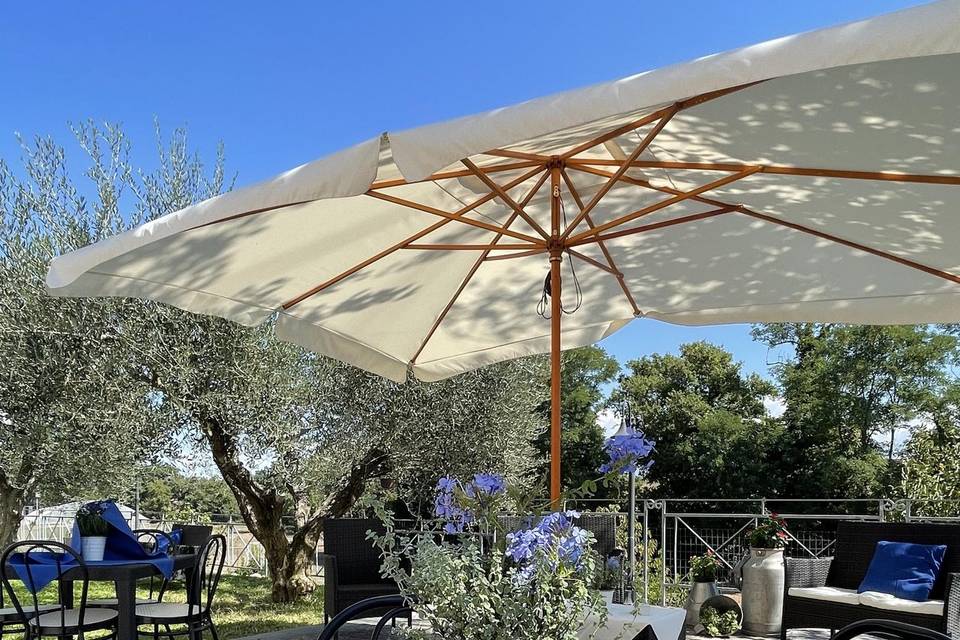 Giardino allestito